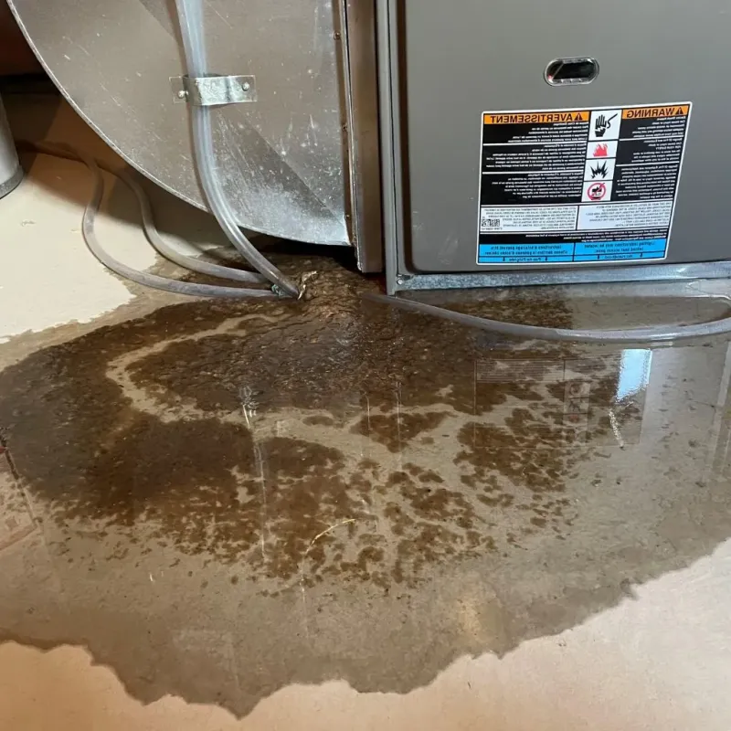 Pipe Burst and Leak Restoration in Gilmer County, WV